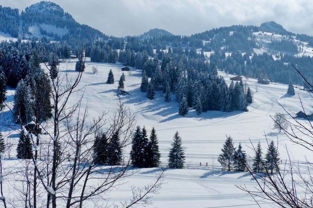 Photo of Others in Saanenmoeser