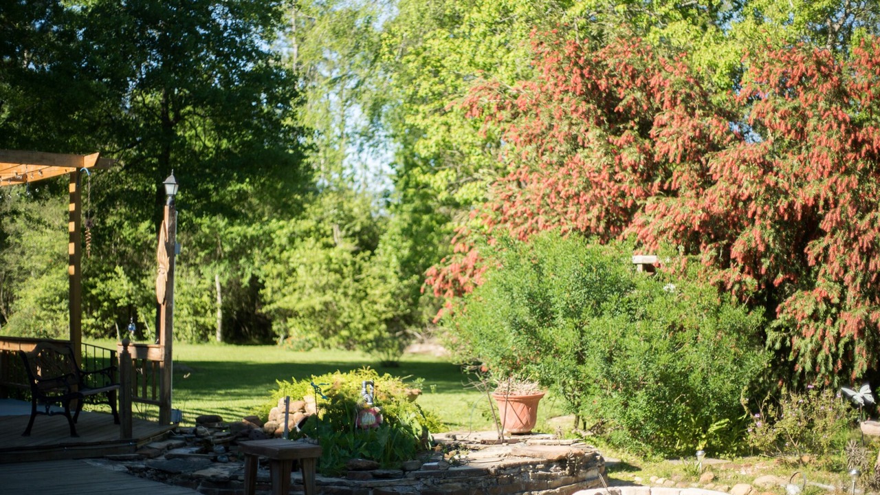 Photo of Outdoor in Tomball