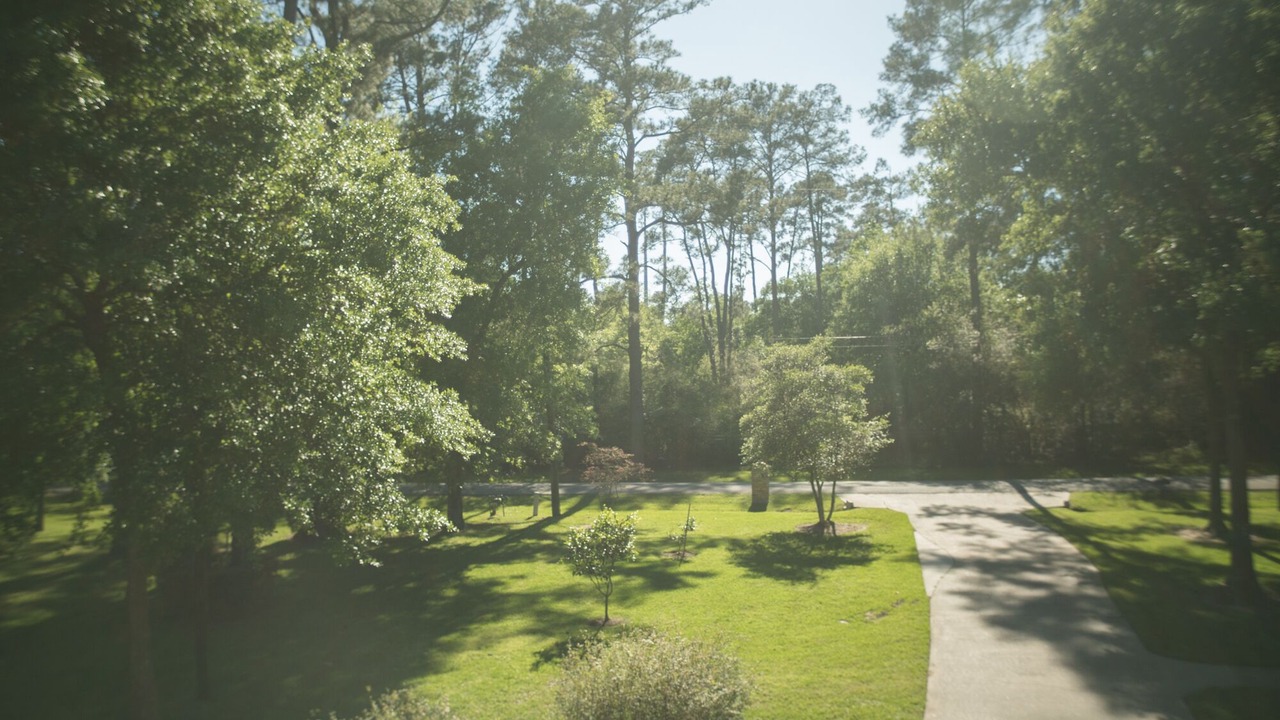 Photo of Outdoor in Tomball