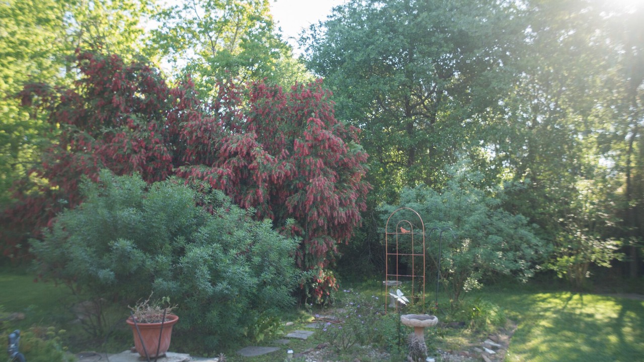 Photo of Outdoor in Tomball