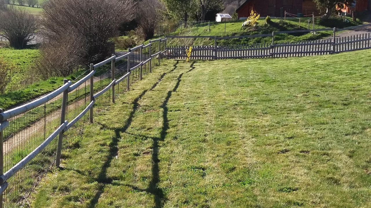 Photo of Outdoor in Chambon-sur-Lac