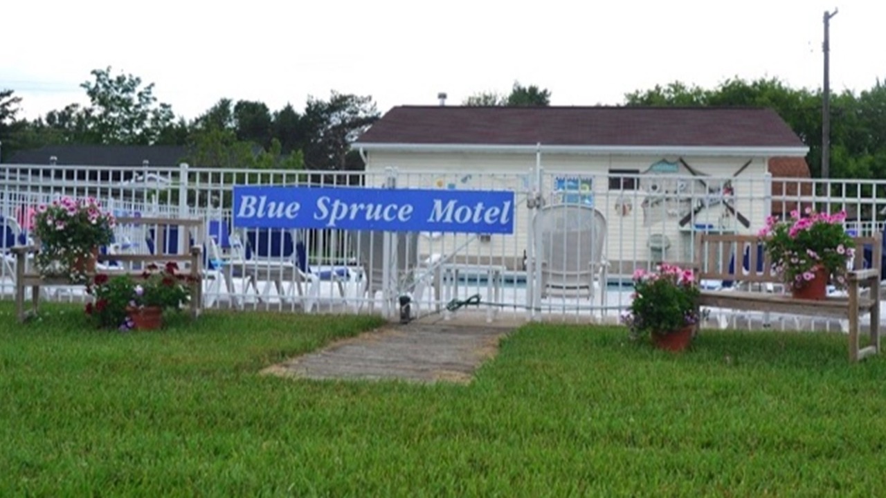 Photo of Outdoor in Port Austin