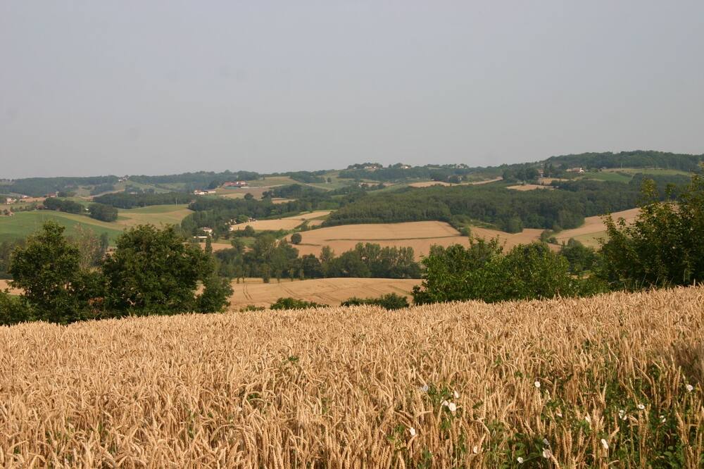 Photo of Others in Labarthe