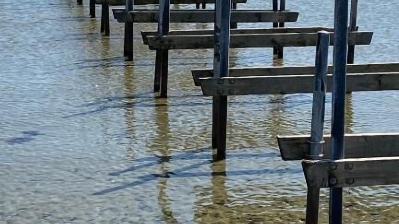 Photo of Others in Hejls