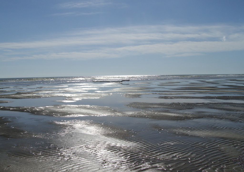 Photo of Others in Port-la-Nouvelle