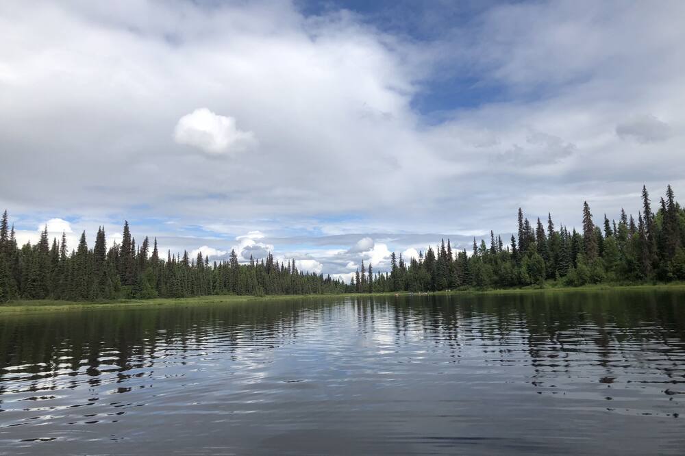Photo of Others in Trapper Creek