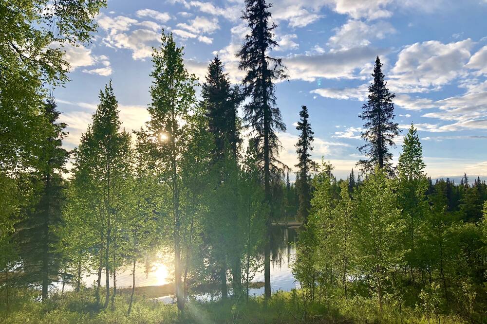 Photo of Others in Trapper Creek