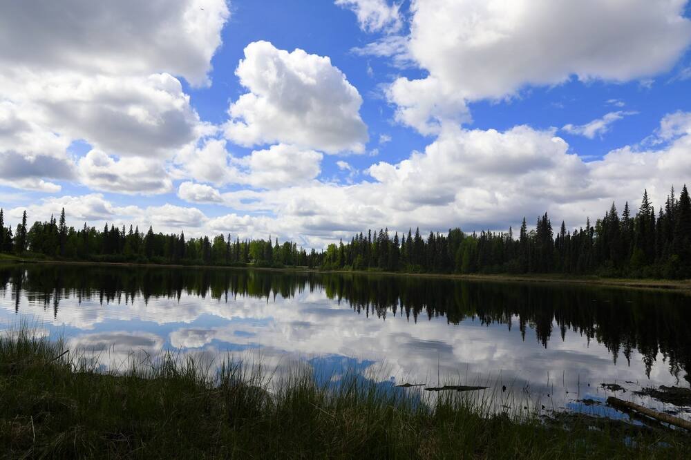 Photo of Others in Trapper Creek