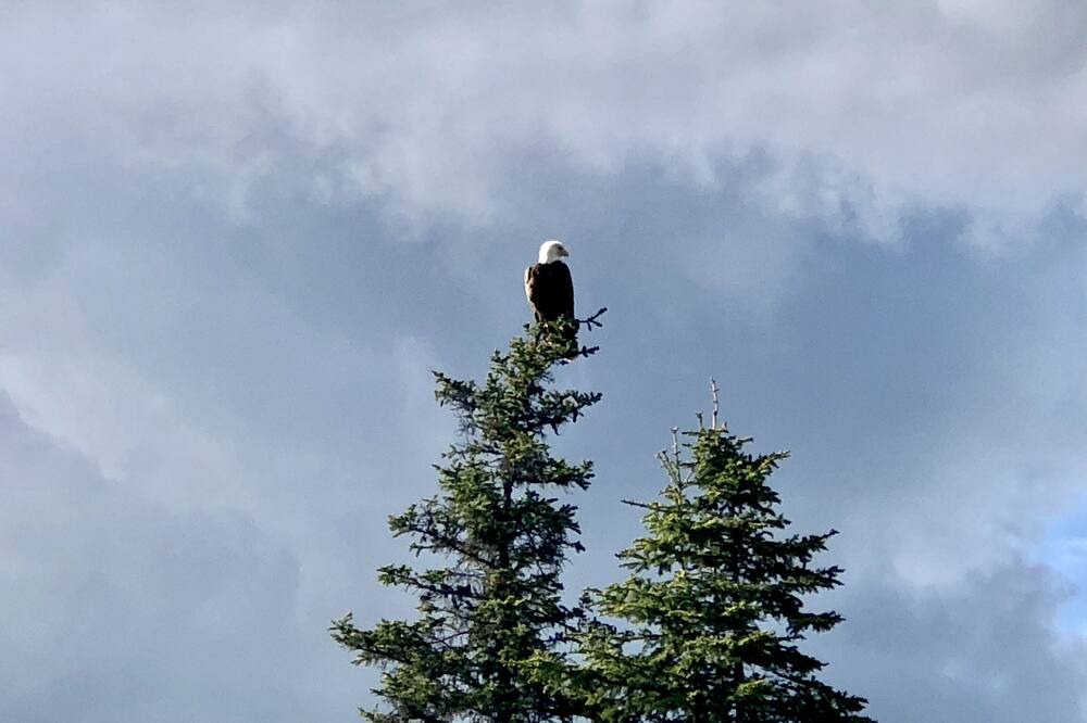 Photo of Others in Trapper Creek
