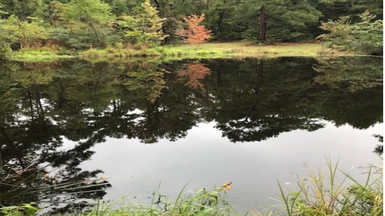 Photo of Outdoor in Hawkins