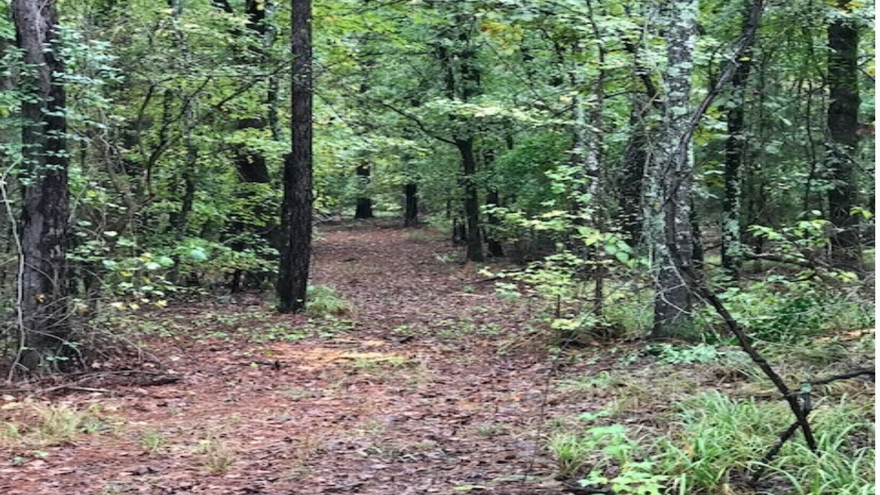 Photo of Outdoor in Hawkins