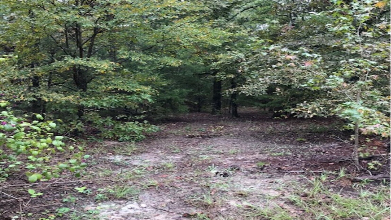 Photo of Outdoor in Hawkins
