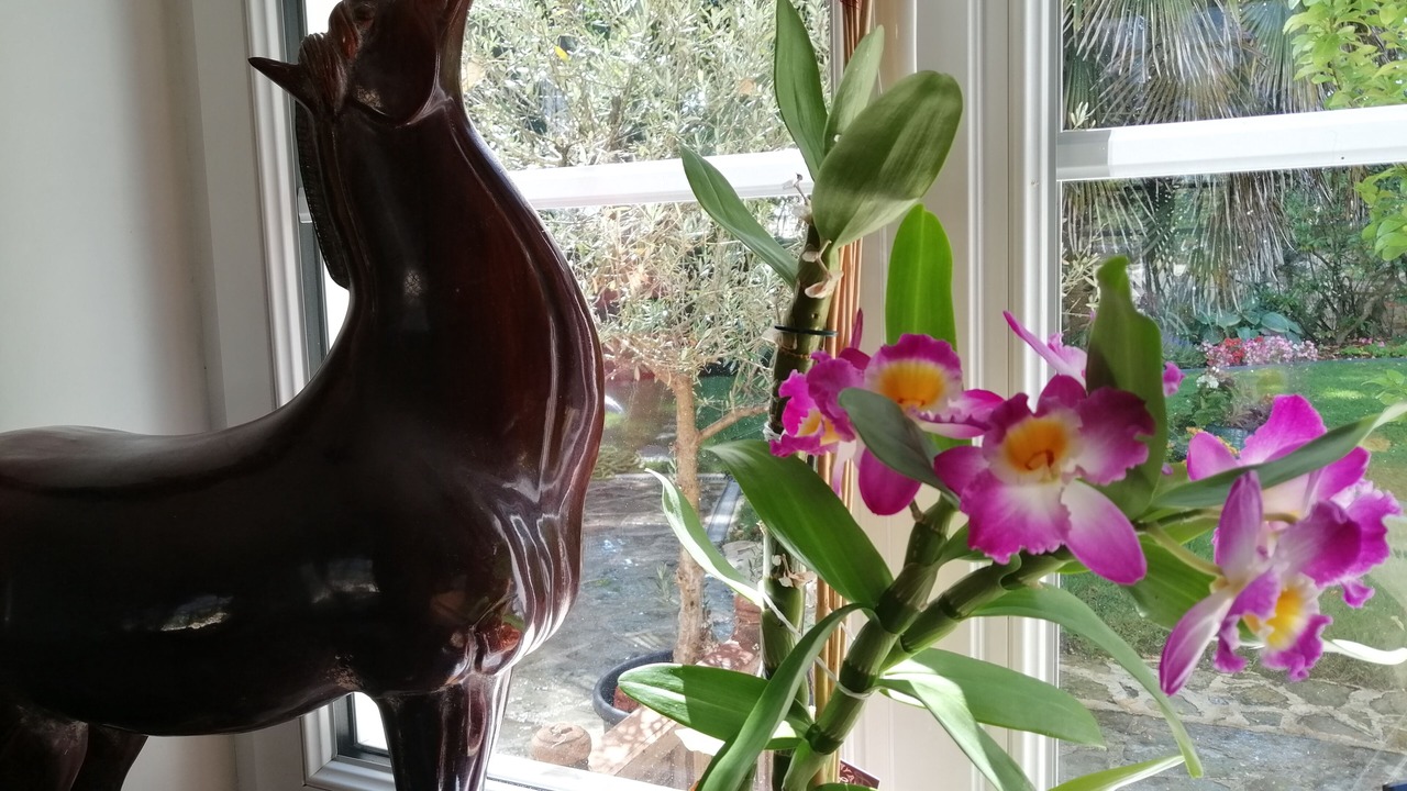 Photo of Others in Appoigny