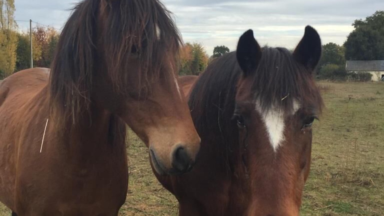 Photo of Others in Marsac-sur-Don