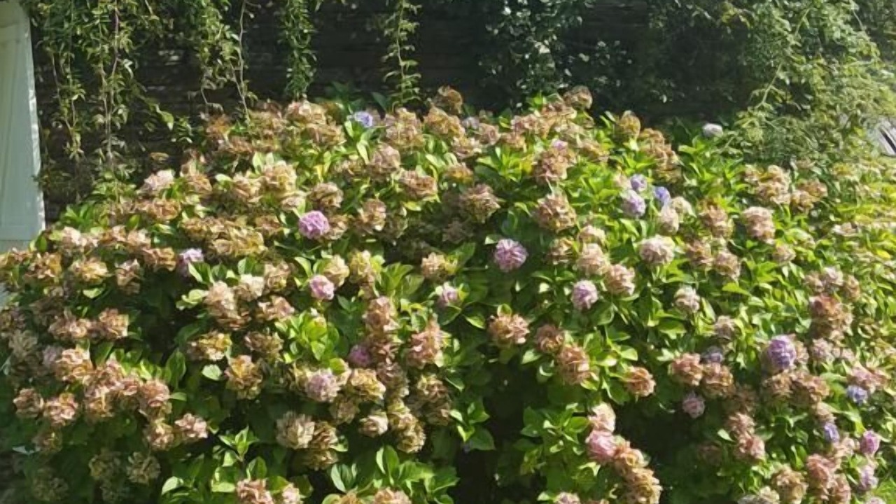 Photo of Outdoor in Marsac-sur-Don