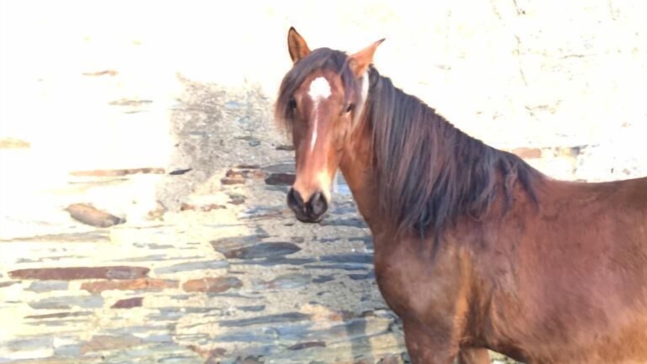 Photo of Others in Marsac-sur-Don