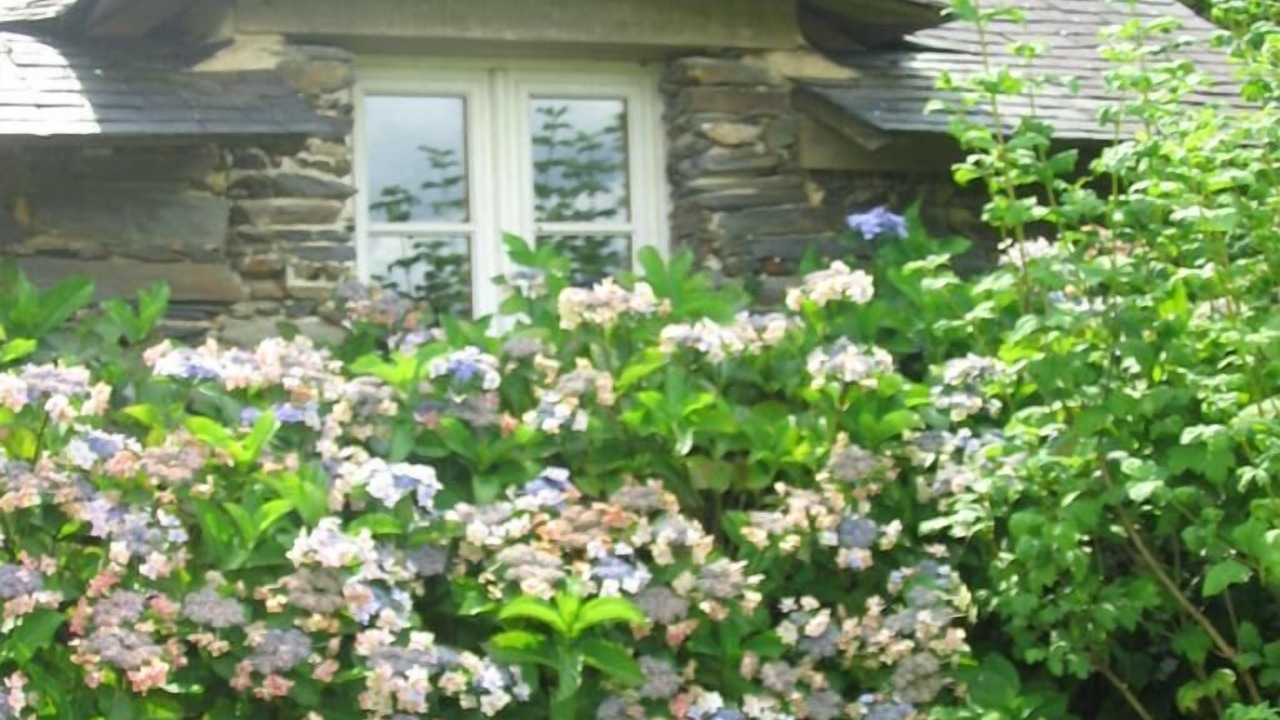 Photo of Outdoor in Marsac-sur-Don