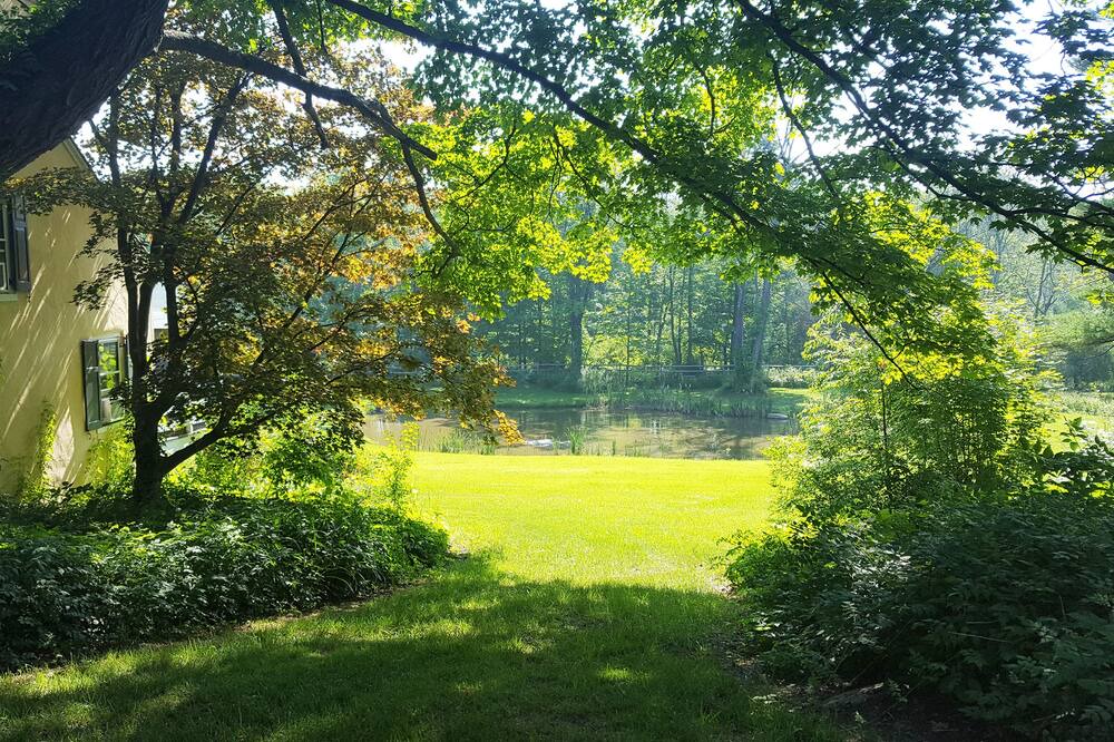 Photo of Others in Ulster Park