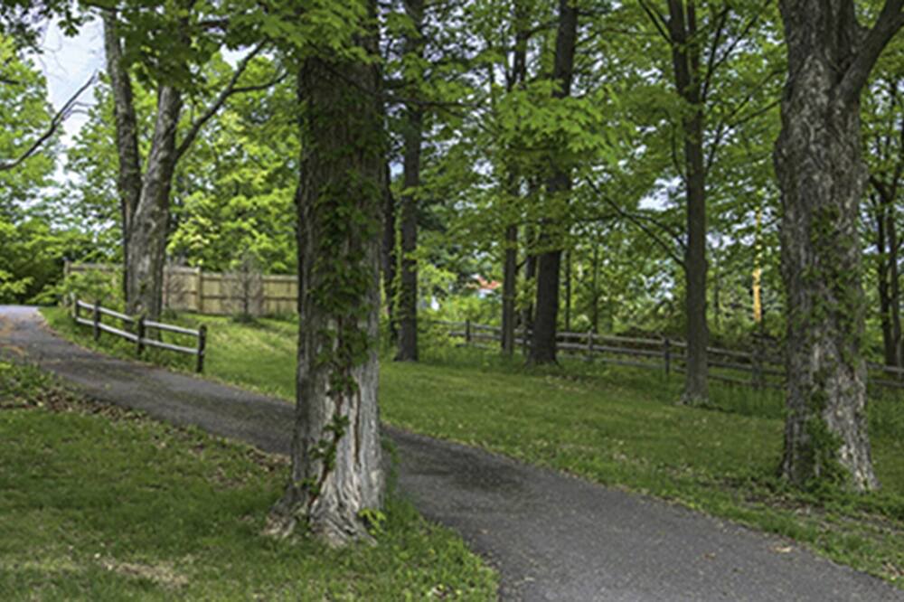 Photo of Outdoor in Ulster Park