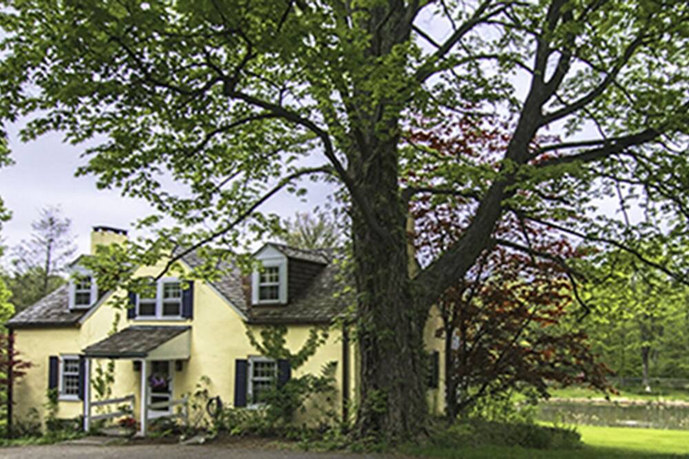 Photo of Outdoor in Ulster Park