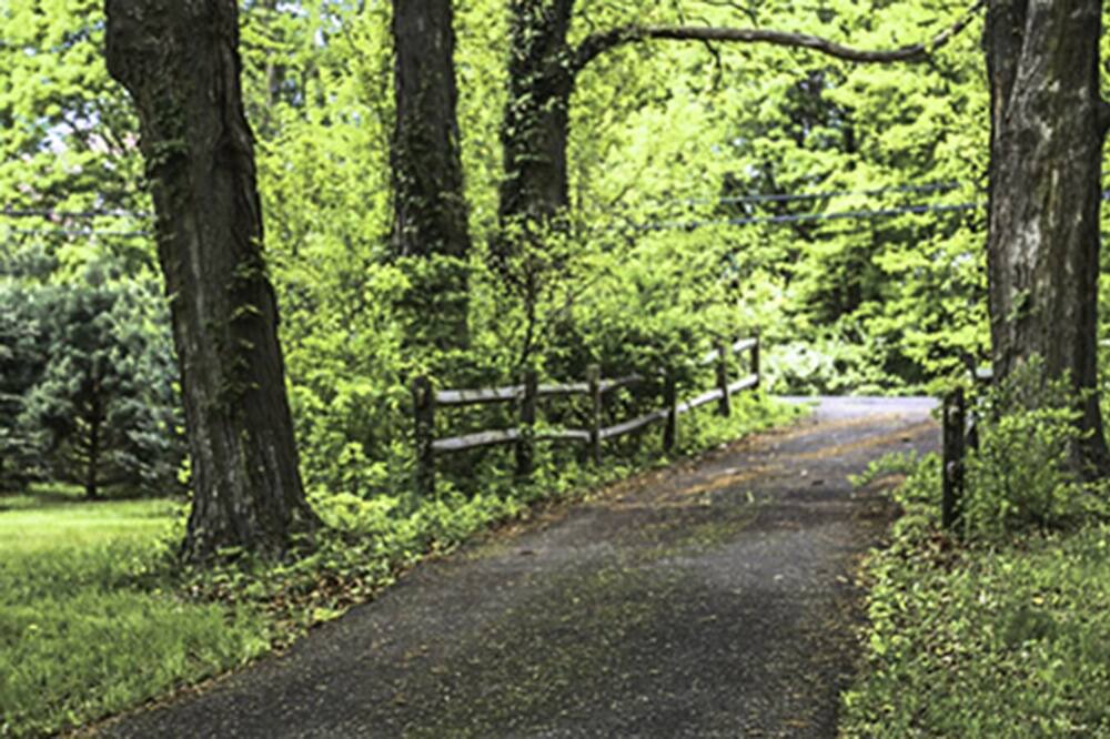 Photo of Outdoor in Ulster Park