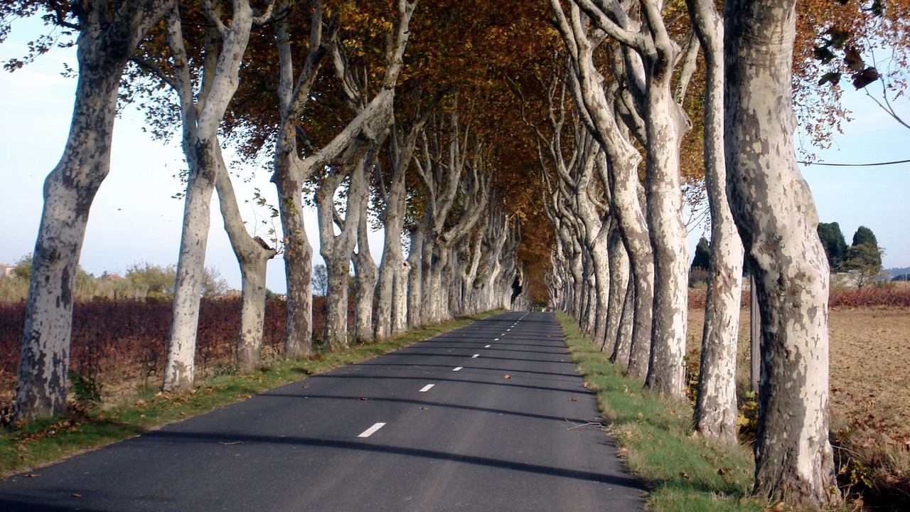 Photo of Outdoor in Tournissan