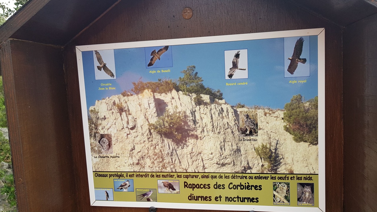 Photo of Others in Tournissan