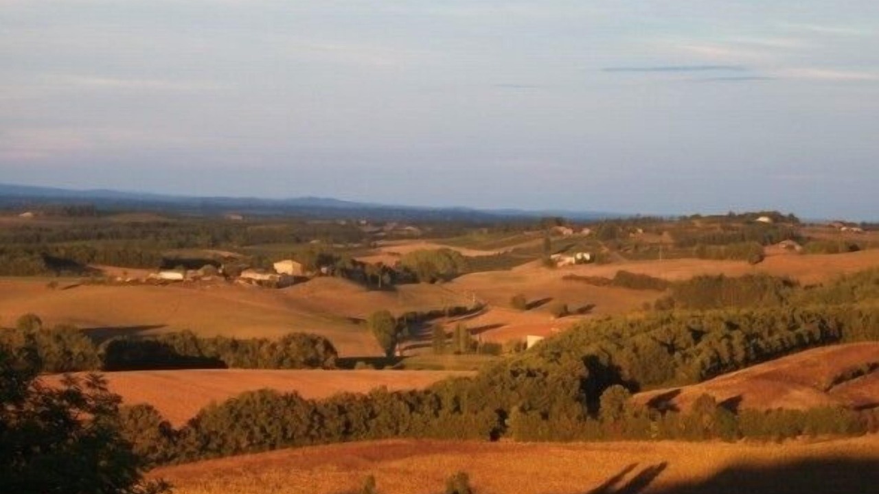 Photo of Outdoor in Castelnau-de-Montmiral