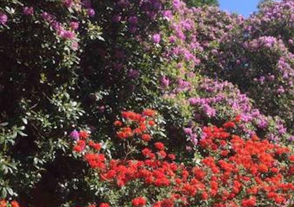 Photo of Outdoor in Penpont