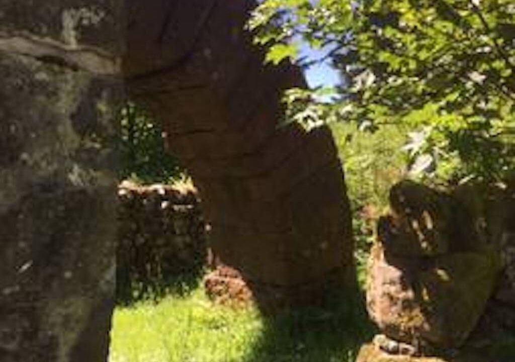 Photo of Outdoor in Penpont