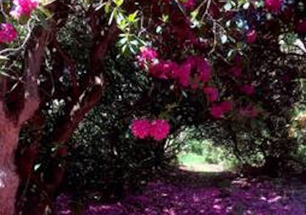 Photo of Outdoor in Penpont