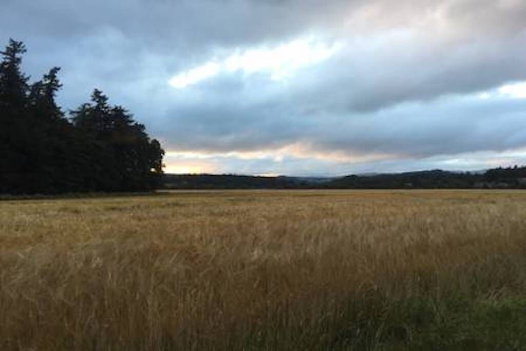 Photo of Others in Penpont