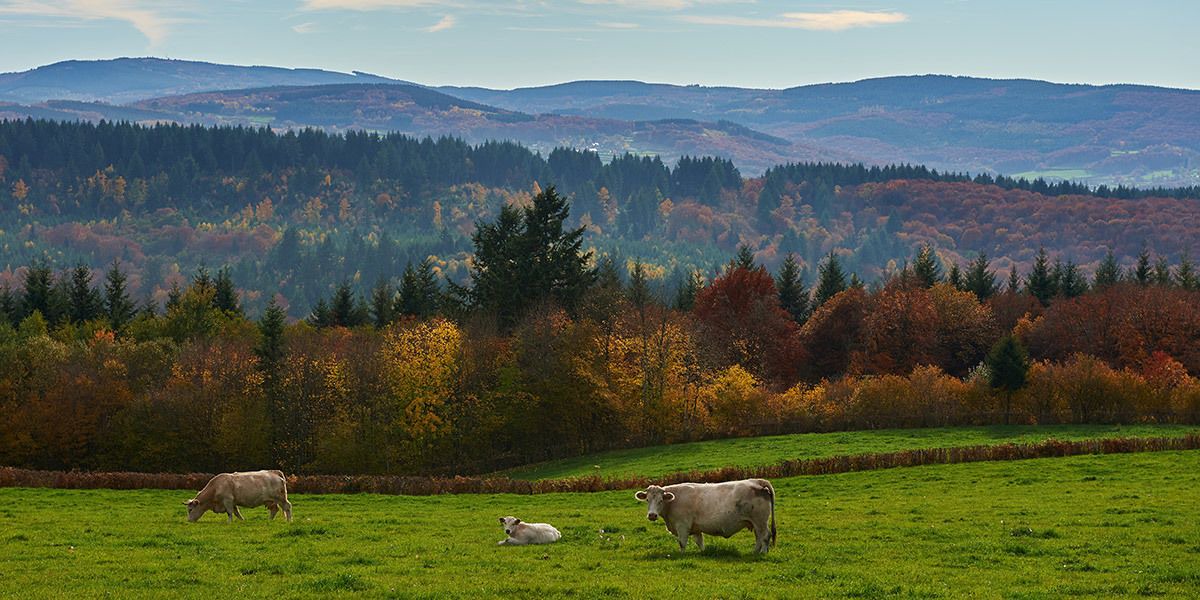 Photo of Outdoor in Planchez
