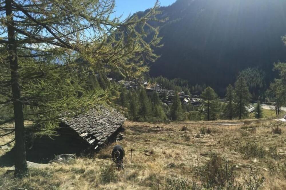 Photo of Outdoor in Bosco Gurin