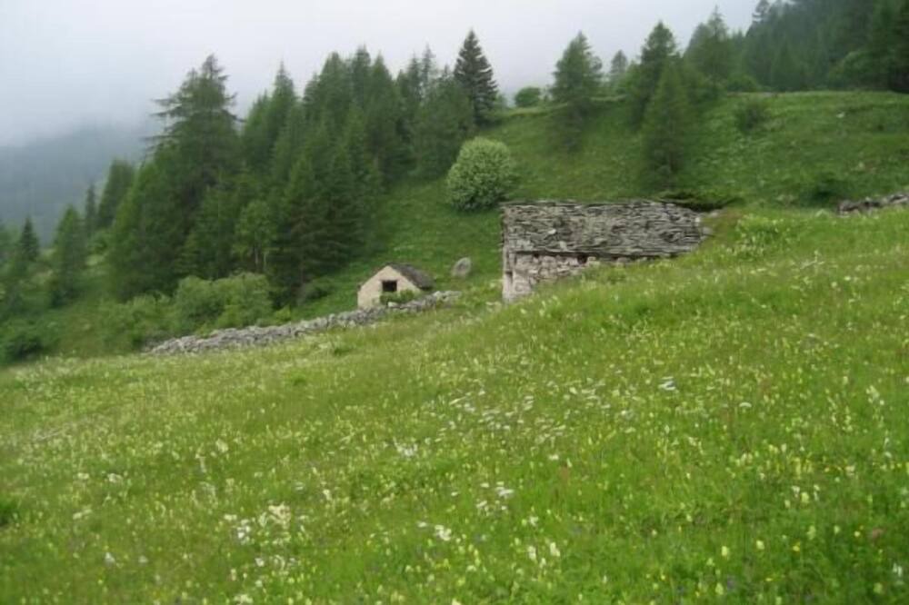 Photo of Outdoor in Bosco Gurin