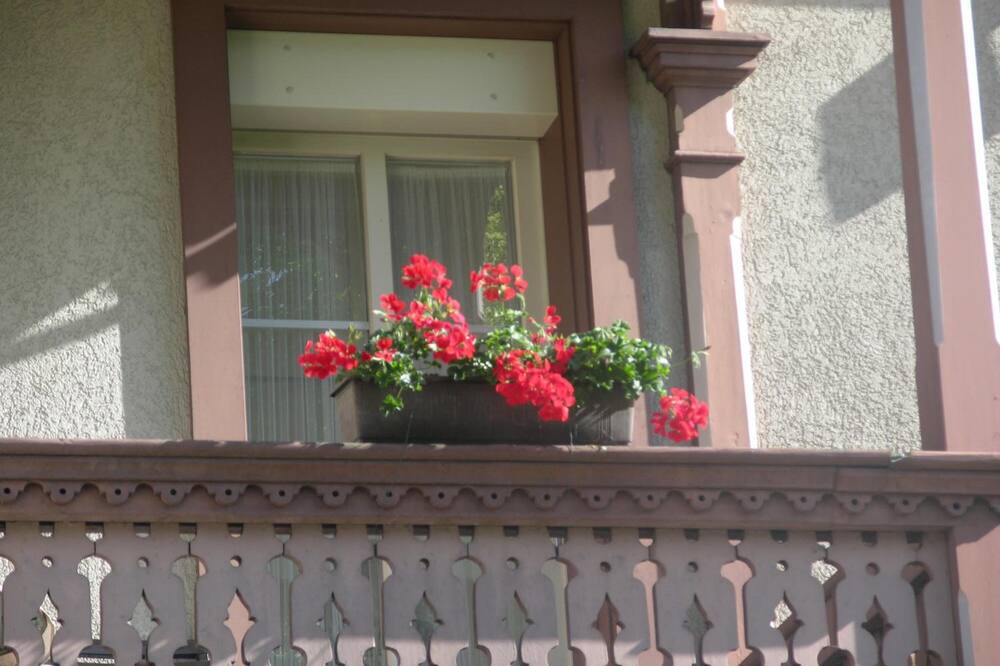 Photo of Patio Balcony in Matten bei Interlaken