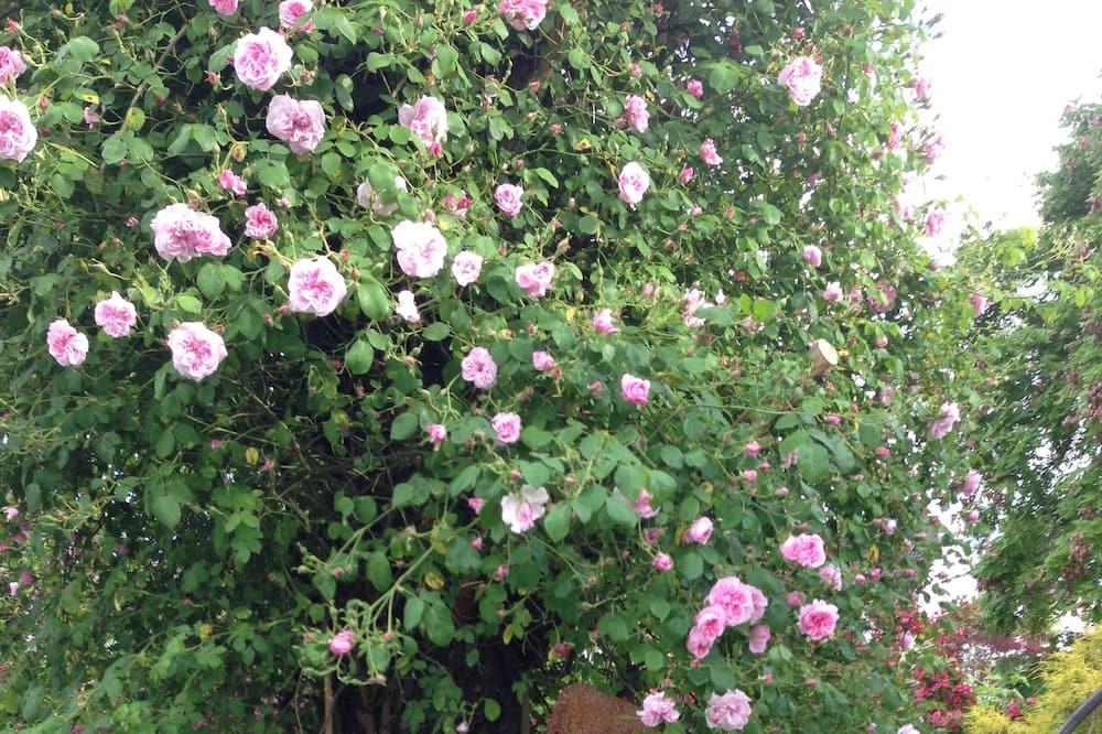 Photo of Outdoor in Wolfhausen
