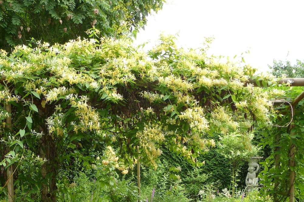 Photo of Outdoor in Wolfhausen