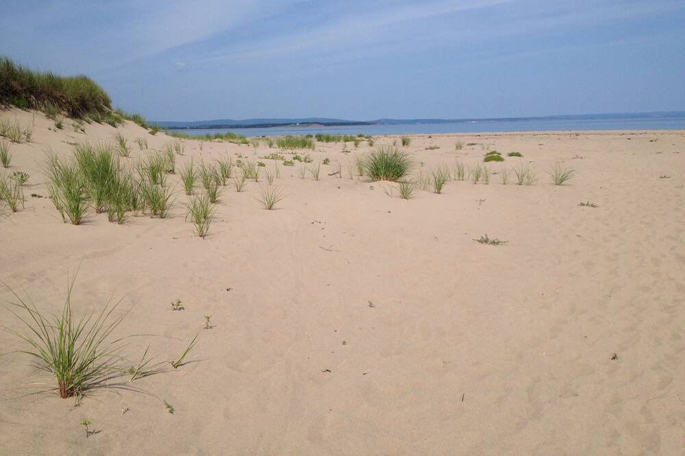 Photo of Others in Bayfield