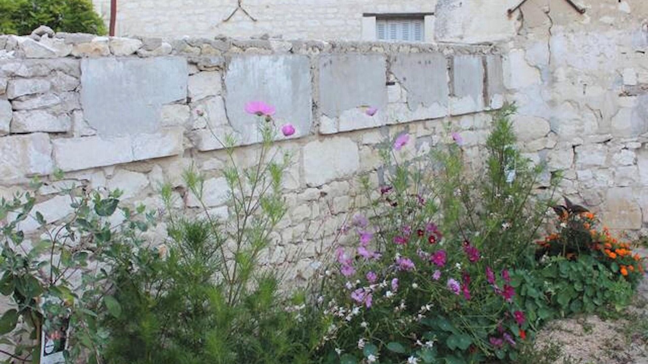 Photo of Outdoor in Champigny-sur-Veude