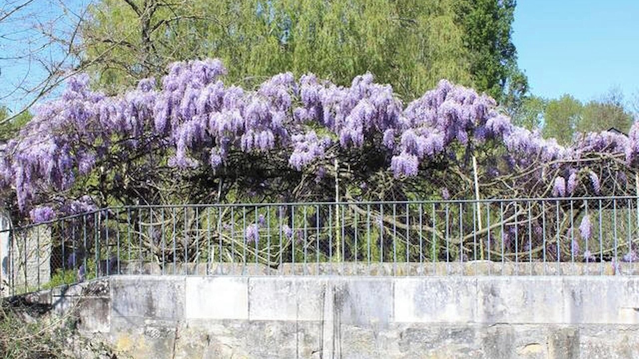 Photo of Outdoor in Champigny-sur-Veude