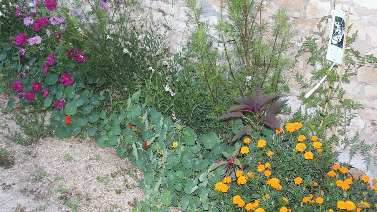 Photo of Outdoor in Champigny-sur-Veude