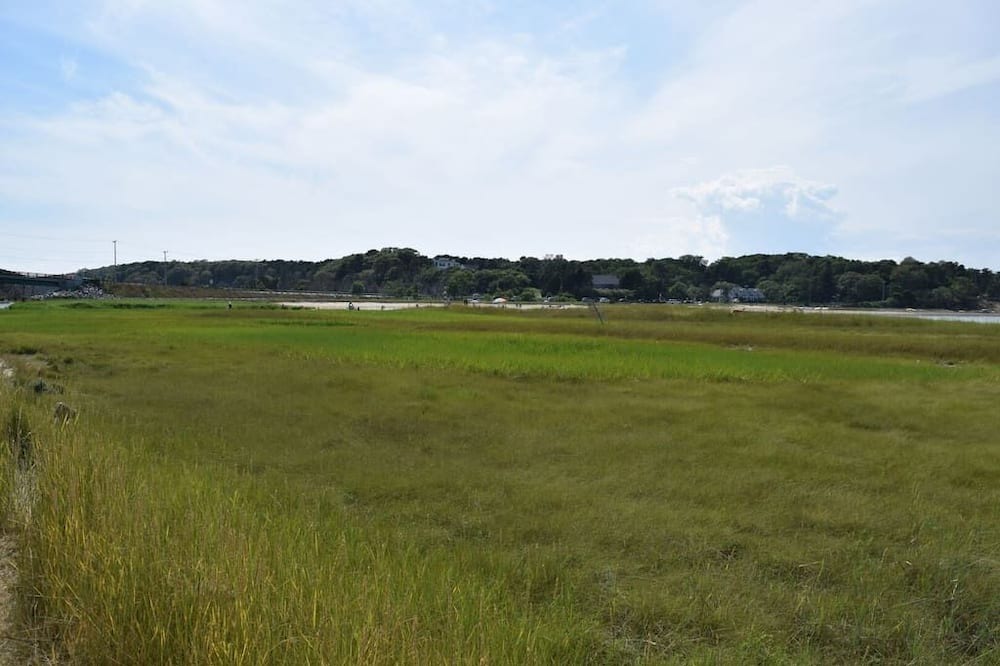 Photo of Others in South Orleans