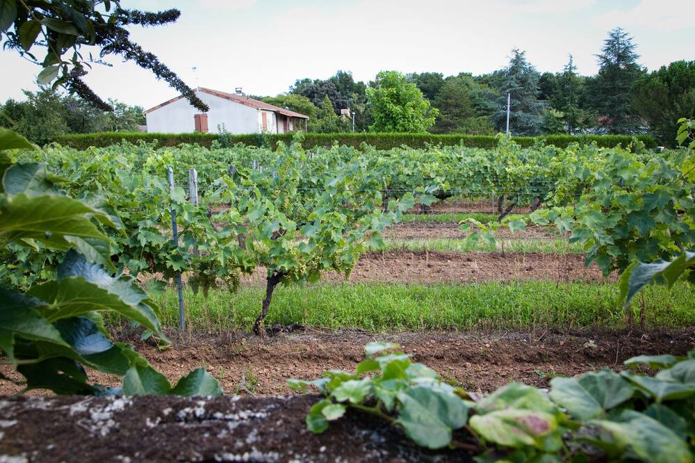 Photo of Others in Saint-Brice