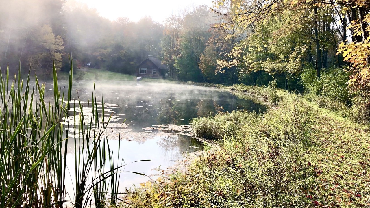 Photo of Outdoor in Willseyville