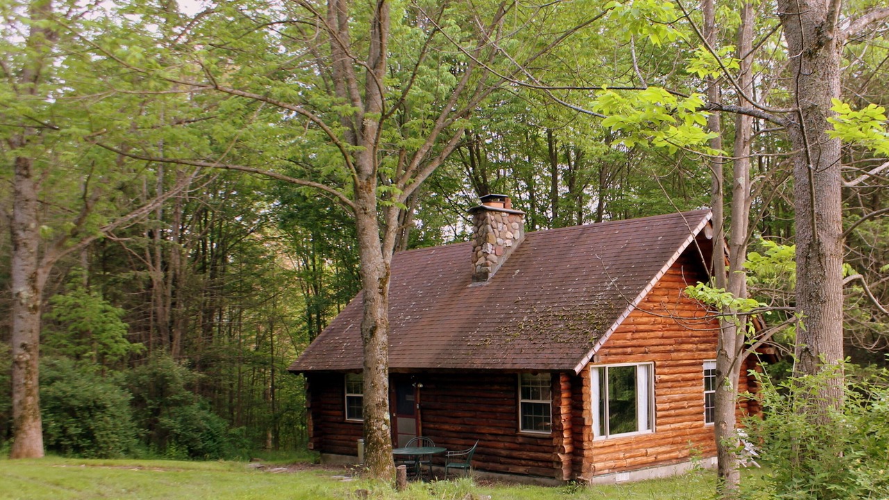 Photo of Outdoor in Willseyville