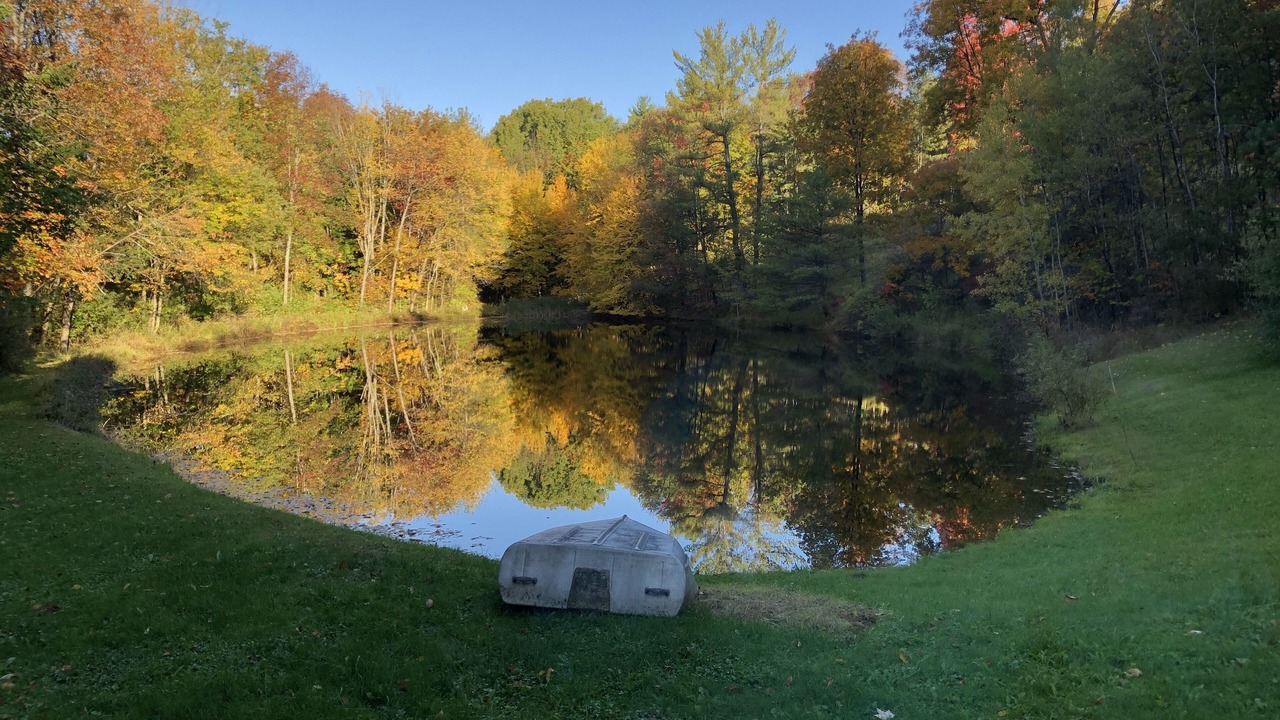 Photo of Outdoor in Willseyville