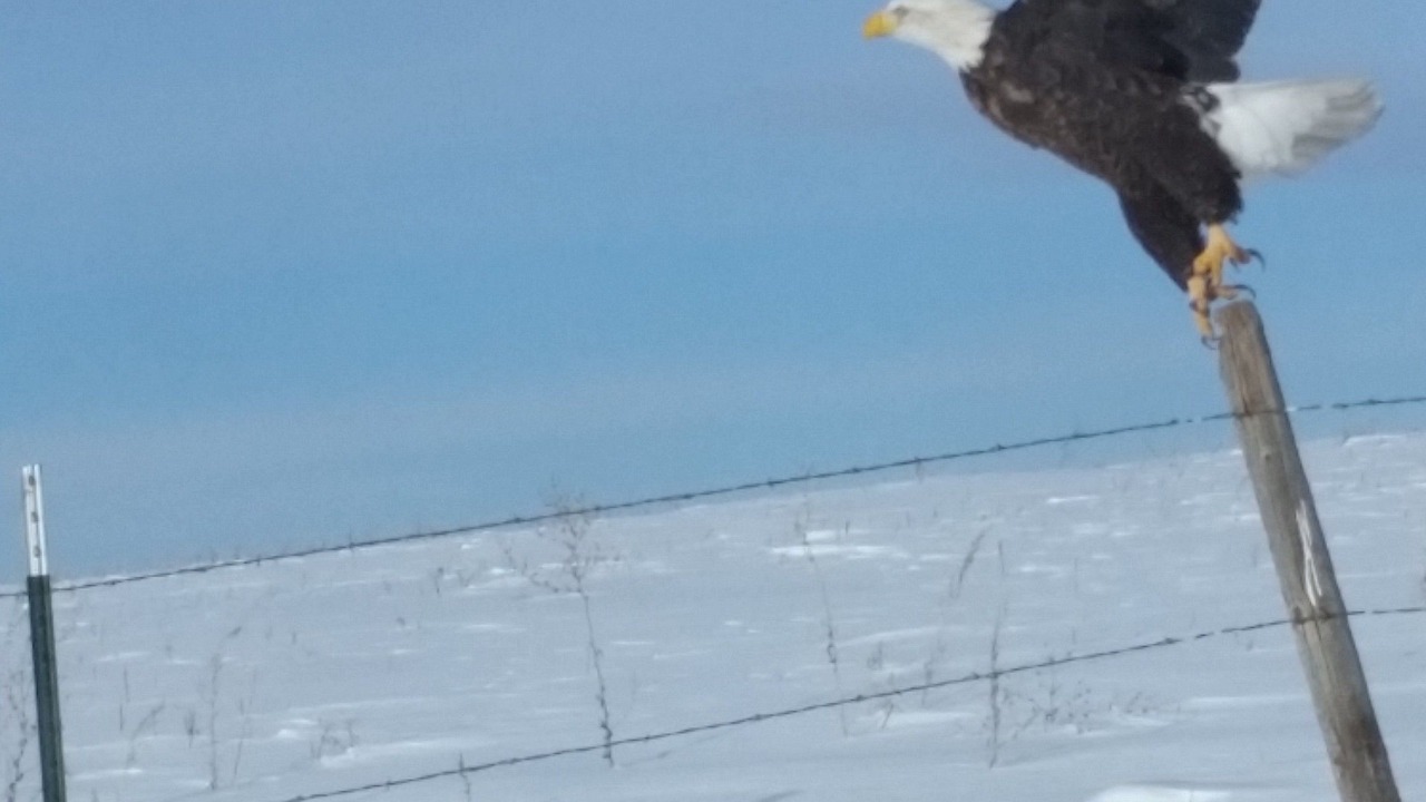 Photo of Outdoor in Lewistown