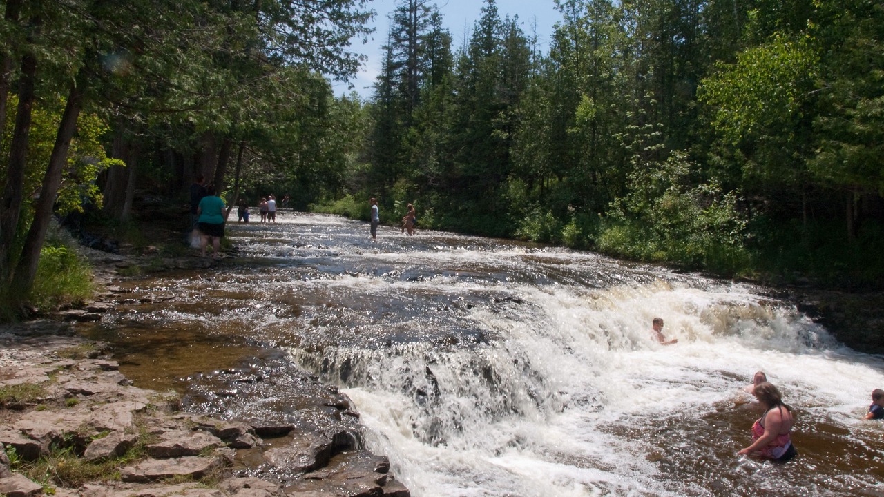 Photo of Others in Rogers City