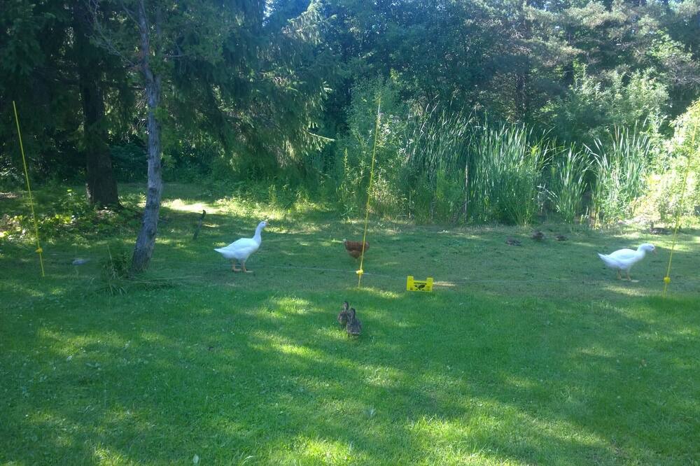 Photo of Outdoor in Saint-Nicolas